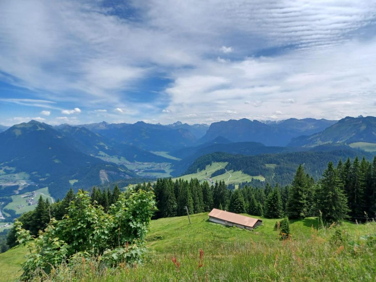 Ferienwohnung Brittenberg Alpaka Schwarzenberg im Bregenzerwald Luaran gambar